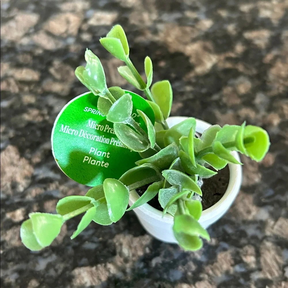 ASHLAND FAUX ASSORTED GREEN SUCCULENTS & MICRI PREMADE PLANTS LOT IF 6 NWT
